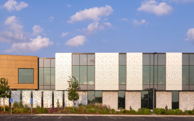 International Institute of Minnesota