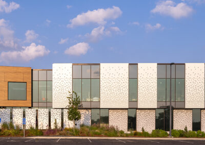 International Institute of Minnesota
